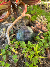 Load image into Gallery viewer, Fluorite Skull