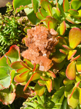 Load image into Gallery viewer, Aragonite