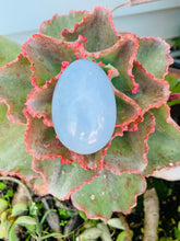 Load image into Gallery viewer, ANGELITE Egg