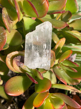 Load image into Gallery viewer, Spodumene