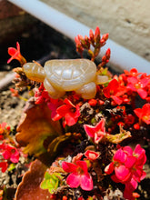 Load image into Gallery viewer, Agate Turtle