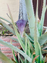 Load image into Gallery viewer, Amethyst Pendulum