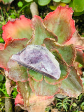 Load image into Gallery viewer, Lepidolite