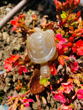 Load image into Gallery viewer, Agate Turtle