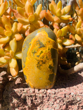 Load image into Gallery viewer, BUMBLEBEE JASPER