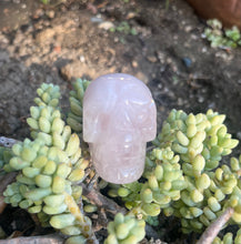 Load image into Gallery viewer, Rose Quartz Skull