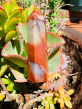 Load image into Gallery viewer, Red Jasper