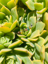 Load image into Gallery viewer, Tourmaline Pendant