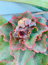 Load image into Gallery viewer, Vanadinite