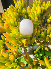 Load image into Gallery viewer, Rose Quartz Skull