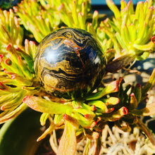 Load image into Gallery viewer, Stromatolite