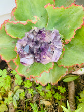 Load image into Gallery viewer, Avalon Amethyst