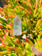 Load image into Gallery viewer, Fluorite