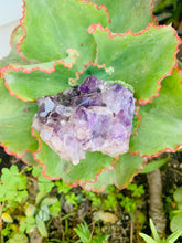 Load image into Gallery viewer, Avalon Amethyst