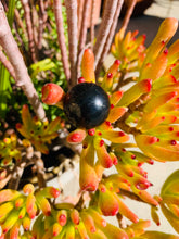 Load image into Gallery viewer, Shungite