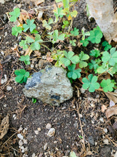 Load image into Gallery viewer, Pyrite