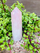 Load image into Gallery viewer, Rose Quartz