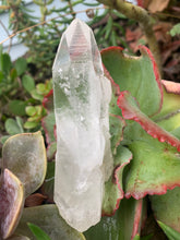 Load image into Gallery viewer, Lemurian Quartz