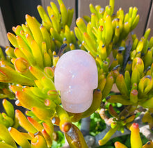 Load image into Gallery viewer, Rose Quartz Skull