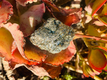 Load image into Gallery viewer, Pyrite