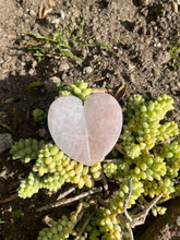 Load image into Gallery viewer, Rose Quartz