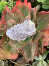 Load image into Gallery viewer, Lepidolite