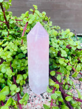 Load image into Gallery viewer, Rose Quartz