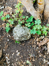 Load image into Gallery viewer, Pyrite