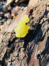 Load image into Gallery viewer, Brucite