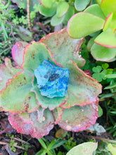 Load image into Gallery viewer, Azurite