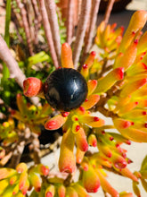 Load image into Gallery viewer, Shungite