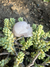 Load image into Gallery viewer, Rose Quartz Skull