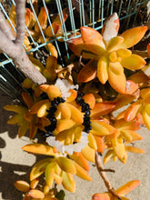 Load image into Gallery viewer, Black Tourmaline and Moonstone