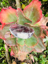 Load image into Gallery viewer, Lepidolite