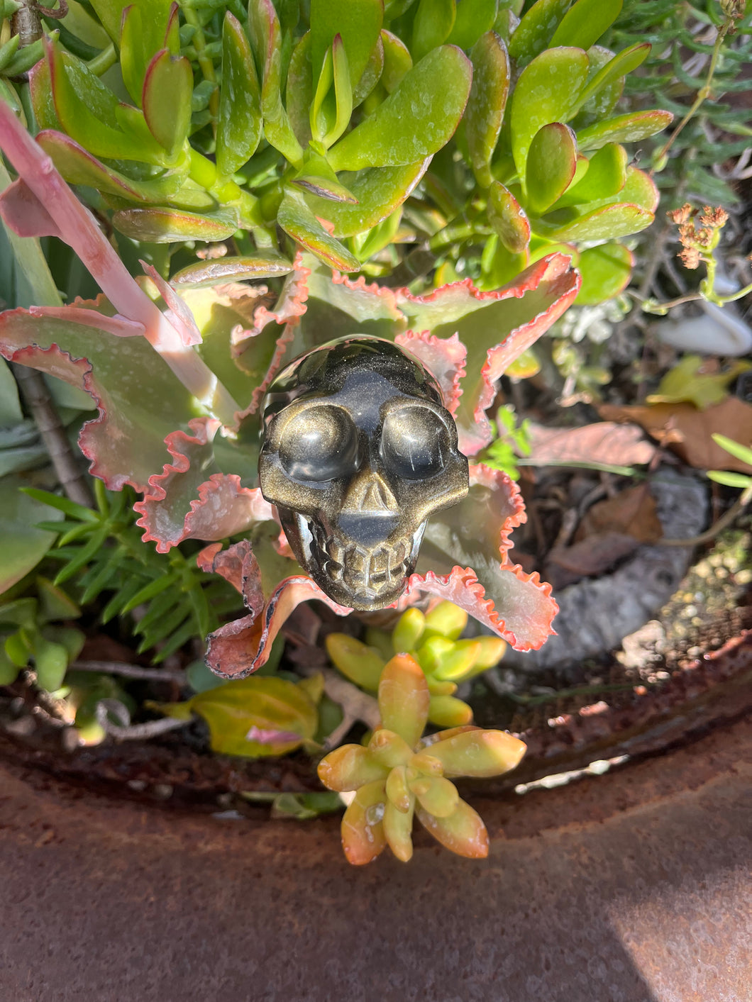 Gold Sheen Obsidian Skull