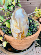 Load image into Gallery viewer, Flower Agate Free Form
