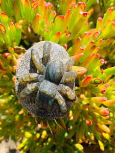 Labradorite Spider