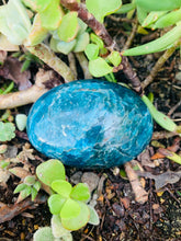 Load image into Gallery viewer, Blue Apatite
