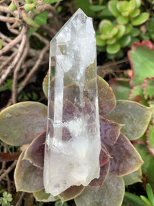 Lemurian Quartz