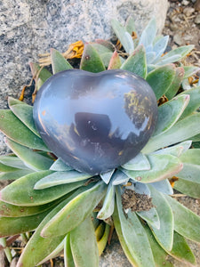 Orca Agate