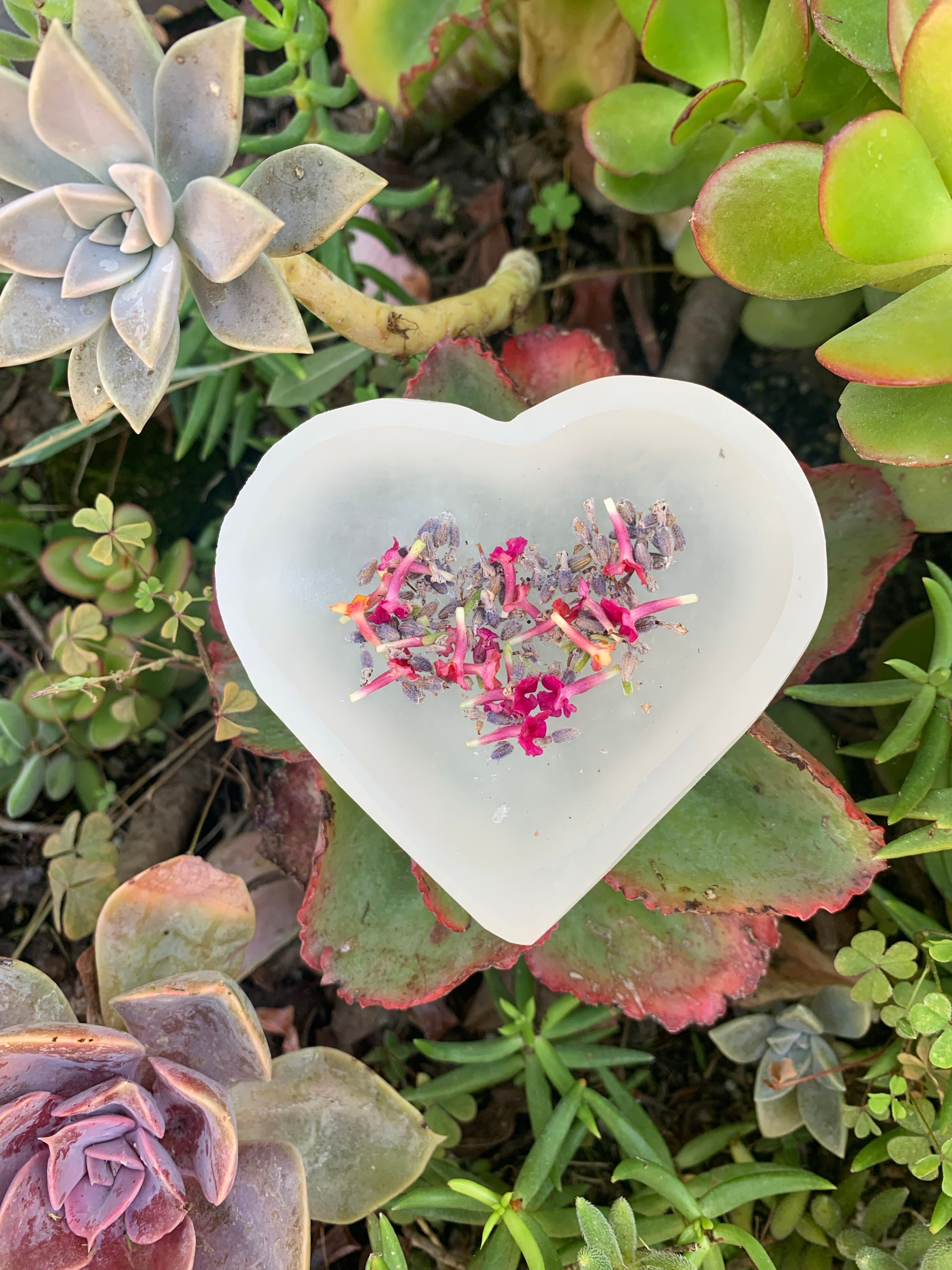 Selenite Succulent Heart Crystal hot Planter