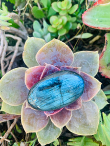 Labradorite