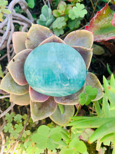 Green Fluorite Palm Stone