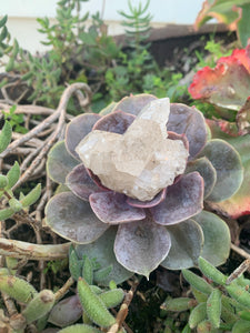 Quartz Cluster