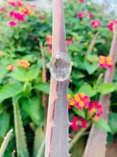 Load image into Gallery viewer, Clear Quartz in Sterling Silver Ring
