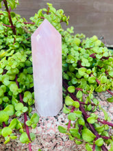 Load image into Gallery viewer, Rose Quartz
