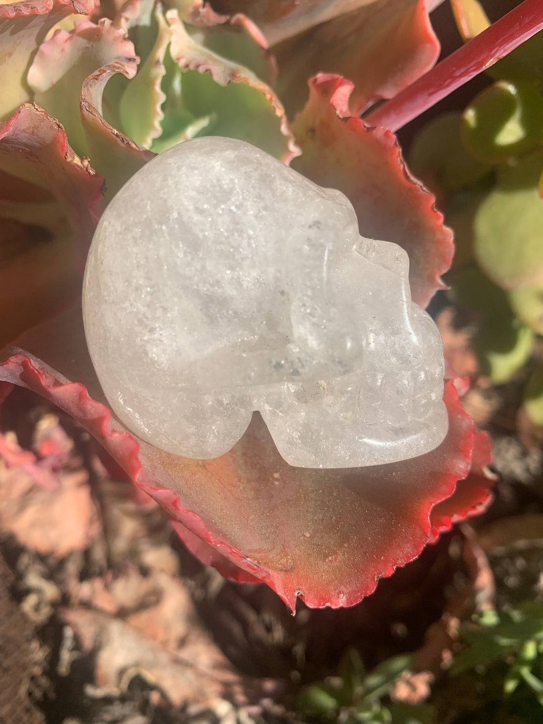 Quartz Skull