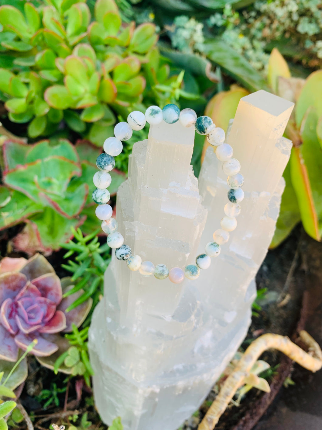 Tree Agate Bracelet