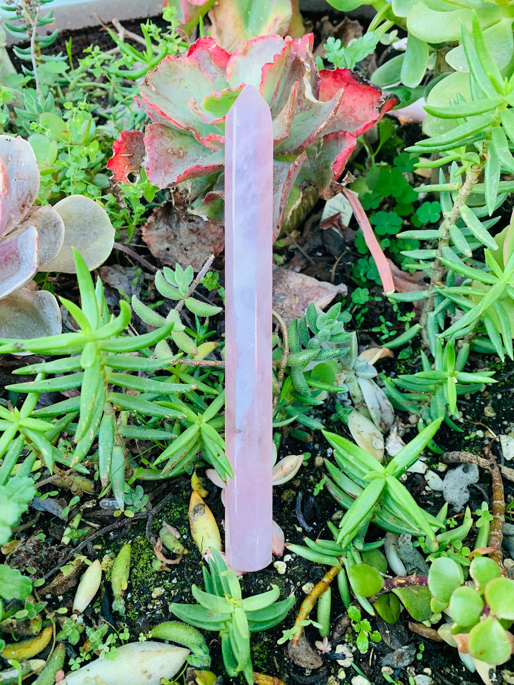 Rose Quartz Wand